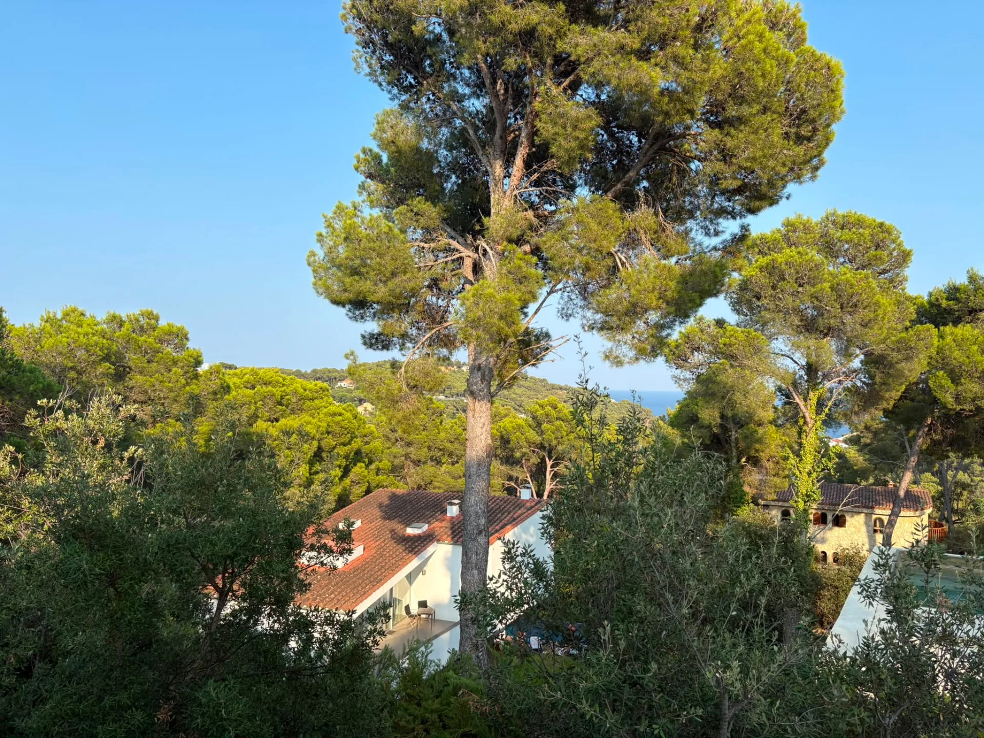 The house seen among pine trees with the sea in the distance — Mediterranean Home on the Costa Brava